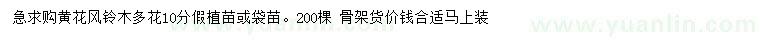 求購10公分黃花風(fēng)鈴木