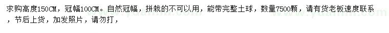 求購(gòu)高150公分夾竹桃