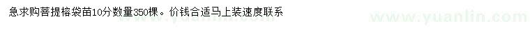 求購10公分菩提榕