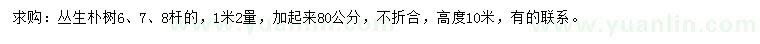求購高10米叢生樸樹