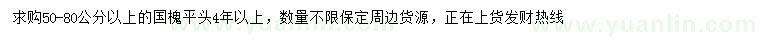 求購(gòu)50-80公分以上國(guó)槐