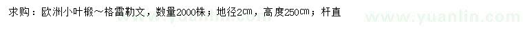求購地徑2公分歐洲小葉椴