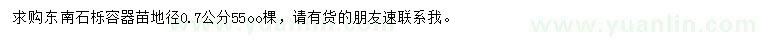 求購地徑0.7公分東南石櫟