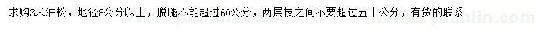 求購3米油松