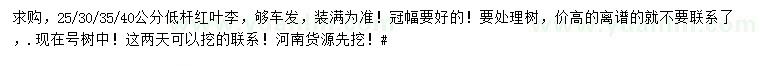 求購25、30、35、40公分紅葉李