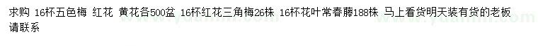 求購五色梅、三角梅、花葉常春藤