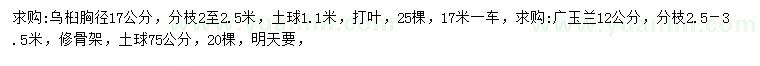 求購胸徑17公分烏桕、12公分廣玉蘭
