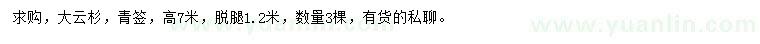 求購高7米云杉