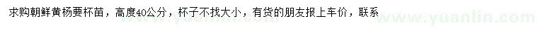 求購高40公分朝鮮黃楊