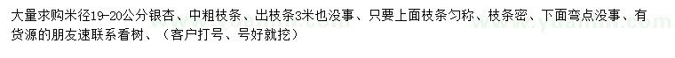 求購(gòu)米徑19-20公分銀杏