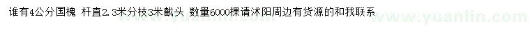 求購4公分國槐