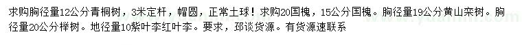 求購(gòu)青桐、國(guó)槐、黃山欒樹(shù)等