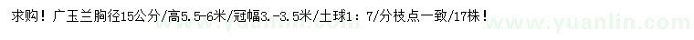 求購胸徑15公分廣玉蘭