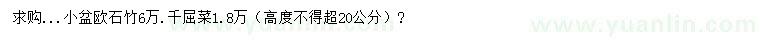 求購高不超20公分歐石竹、千屈菜