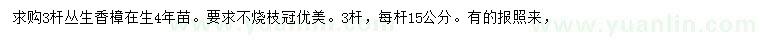 求購叢生香樟