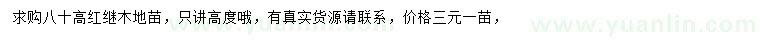 求購高80公分紅繼木