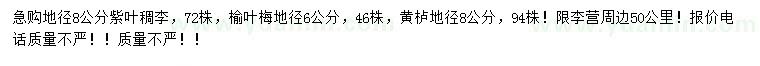 求購紫葉稠李、榆葉梅、黃櫨