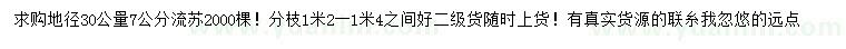 求購(gòu)30公分量7公分流蘇
