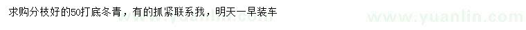 求購(gòu)50公分底冬青