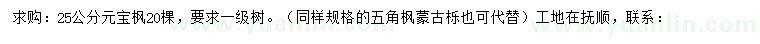 求購25公分元寶楓