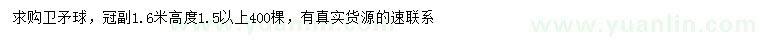 求購冠幅1.6米衛(wèi)矛球