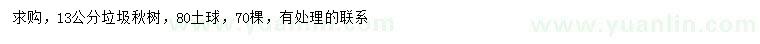 求購13公分楸樹(shù)