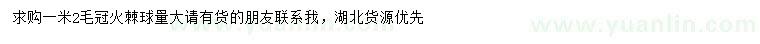求購1.2米火棘球