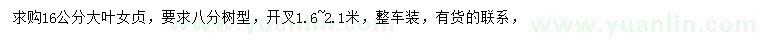 求購16公分大葉女貞