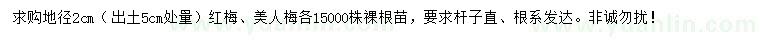 求購地徑2公分紅梅、美人梅