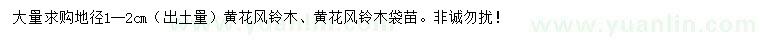 求購地徑1-2公分黃花風鈴木
