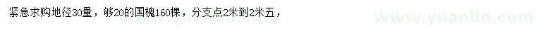 求購30量20公分國槐