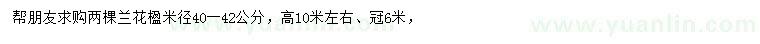 求購米徑40-42公分藍花楹