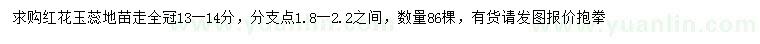 求購13-14公分紅花玉蕊