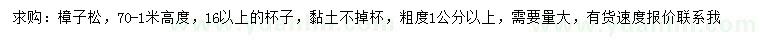 求購高70公分-1米樟子松