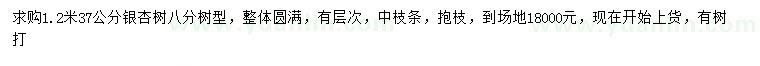 求購37公分銀杏