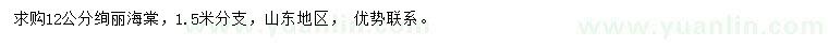 求購(gòu)12公分絢麗海棠