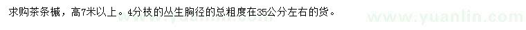 求購高7米以上叢生茶條槭