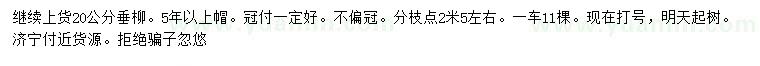 求購20公分垂柳