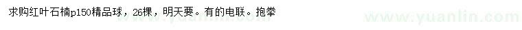 求購冠幅150公分紅葉石楠球