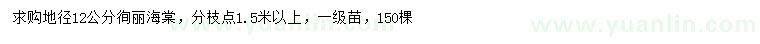 求購地徑12公分徇麗海棠