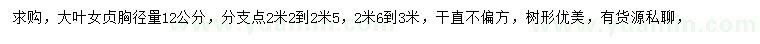 求購胸徑12公分大葉女貞