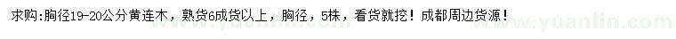 求購胸徑19-20公分黃連木