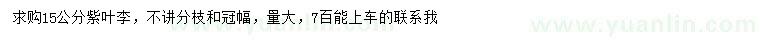 求購(gòu)15公分紫葉李