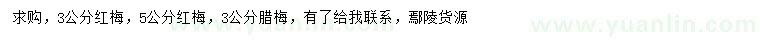 求購(gòu)3、5公分紅梅、3公分臘梅