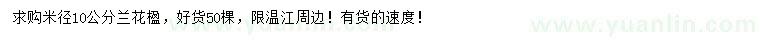 求購(gòu)米徑10公分蘭花楹