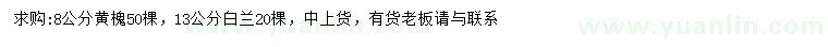 求購8公分黃槐、13公分白蘭