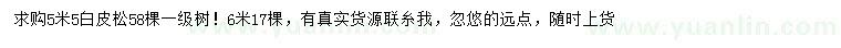 求購5.5、6米白皮松