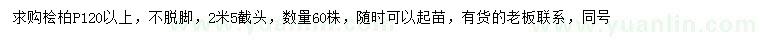 求購冠幅120公分以上檜柏