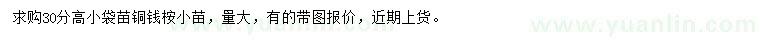 求購(gòu)高30公分銅錢桉