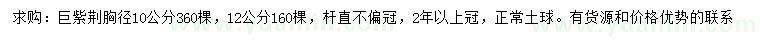 求購(gòu)胸徑10、12公分巨紫荊